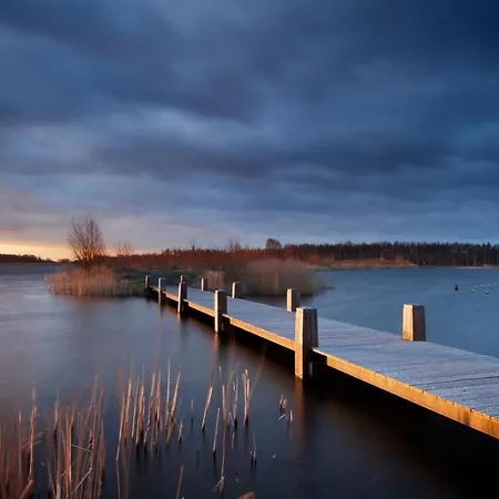 Seeschwalbe * Goehren-Lebbin