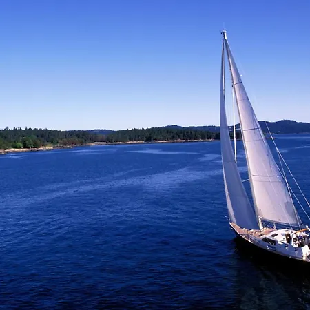 Seeschwalbe Goehren-Lebbin