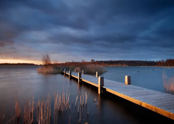 Seeschwalbe * 高恩莱宾