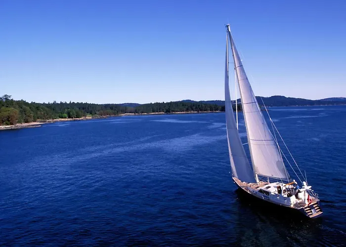 Seeschwalbe 高恩莱宾