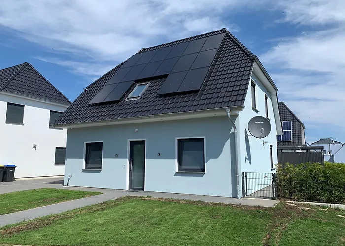 Seeschwalbe * 高恩莱宾