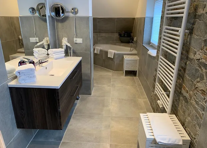 Seeschwalbe 高恩莱宾