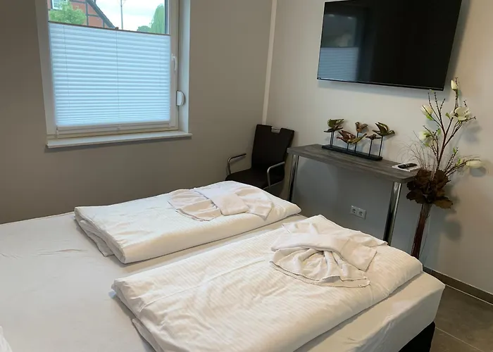 Seeschwalbe 高恩莱宾