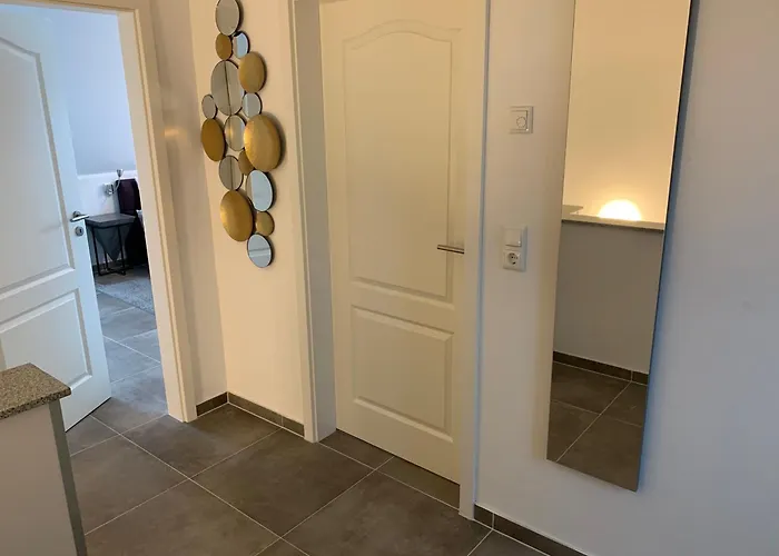 Seeschwalbe * 高恩莱宾