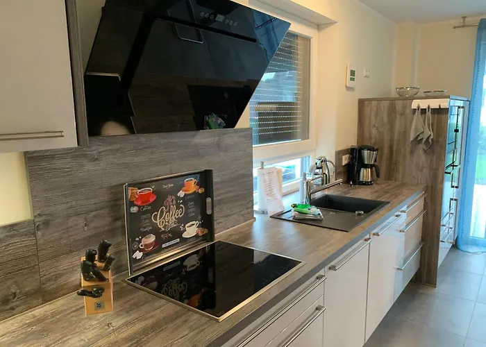 Seeschwalbe * 高恩莱宾